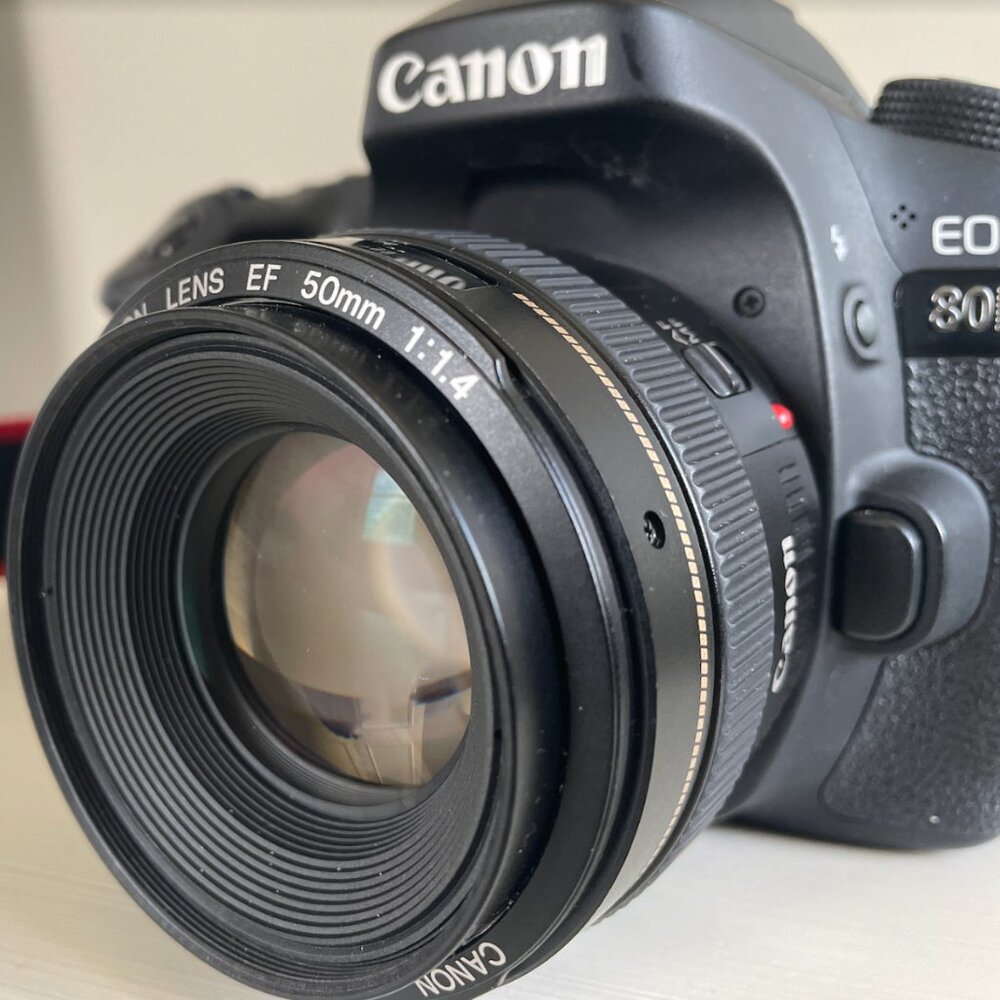 Canon EOS 80D DSLR Camera Kit with Canon EF 50 mm F/1.4 USM Lens with Camera Bag